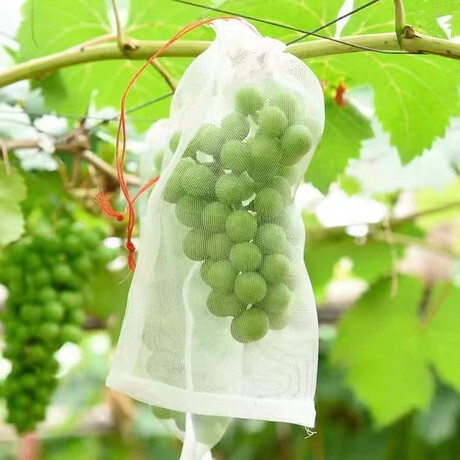 果物防鳥防虫網袋瓜果保護袋無花果ビワブドウ網袋桃いちご保護カバー|undefined