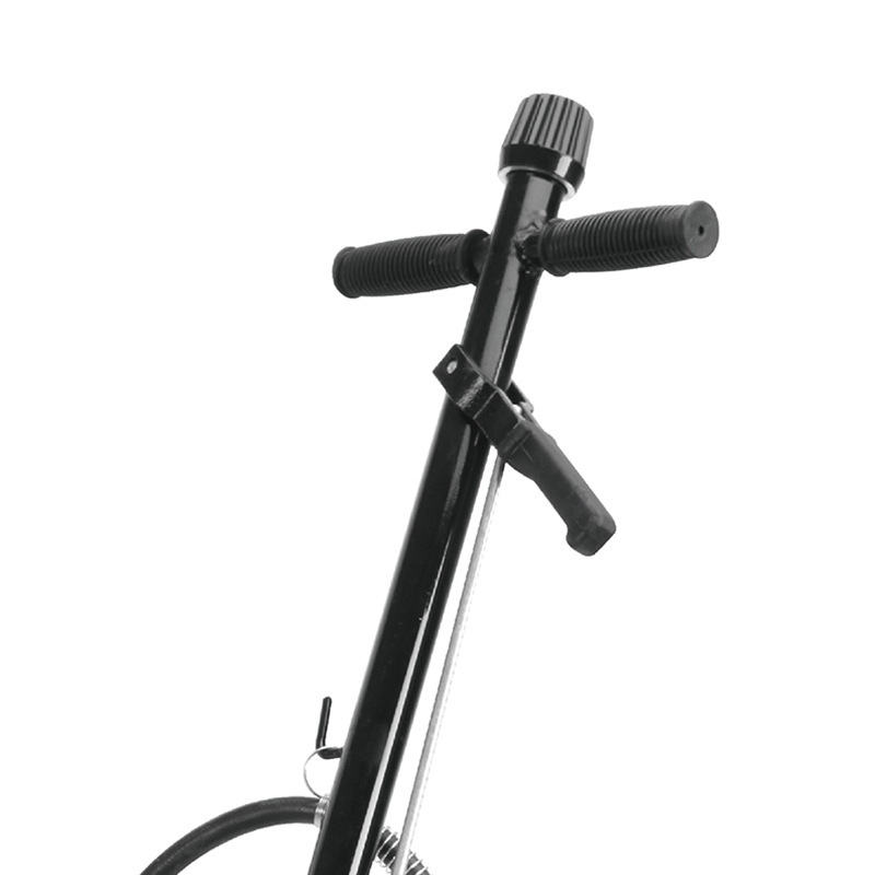 ͨ��BIGRED ������ѹǧ�ﶥ�������ػ�̥ά�޾�Ԯǧ�ﶥ35��