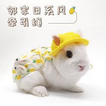 兔子衣服宠物猪溜兔绳牵引绳裙子可调节侏儒兔用外出拍照代发严选