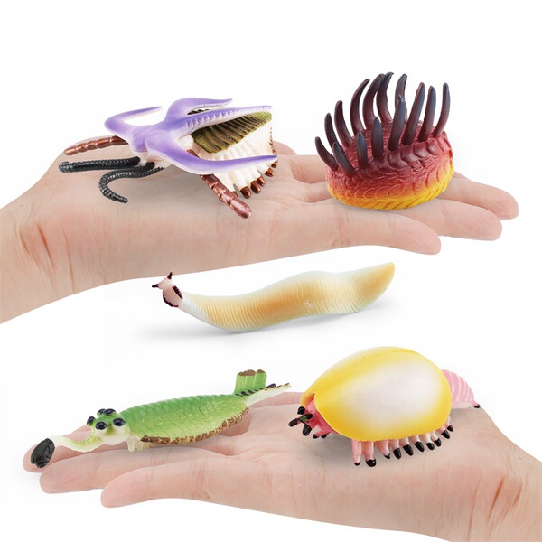 Realistic marine life model