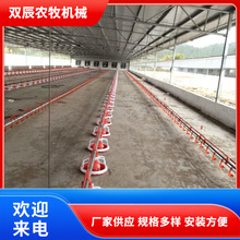 厂家定制养鸡场全自动水线料线 肉鸡平养喂料供水成套养殖设备
