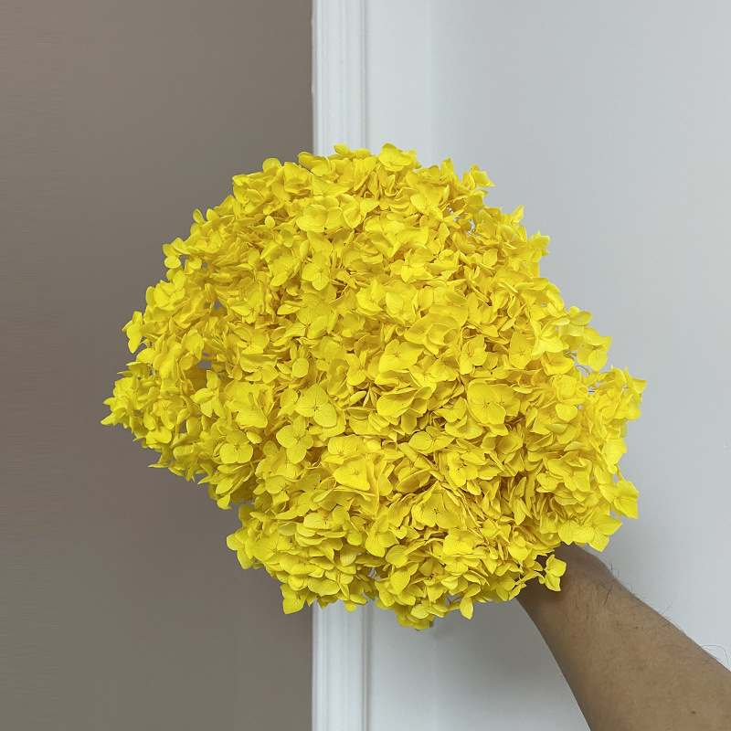 Yunnan Anna Hydrangea Flower Wholesale DIY Flower Preservation Flower Materiales de Regalo de Navidad