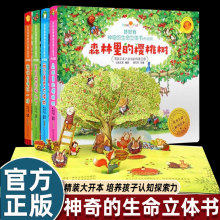 �ú���������������w����ͯ3d���������w��0-3-6-10�q�L��1-2-3