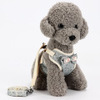 Dog traction rope new small canine teddy vest bowl night dress chest strap pet pet supplies