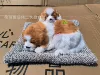Mother and son yellow and white back lying + gray plush pad