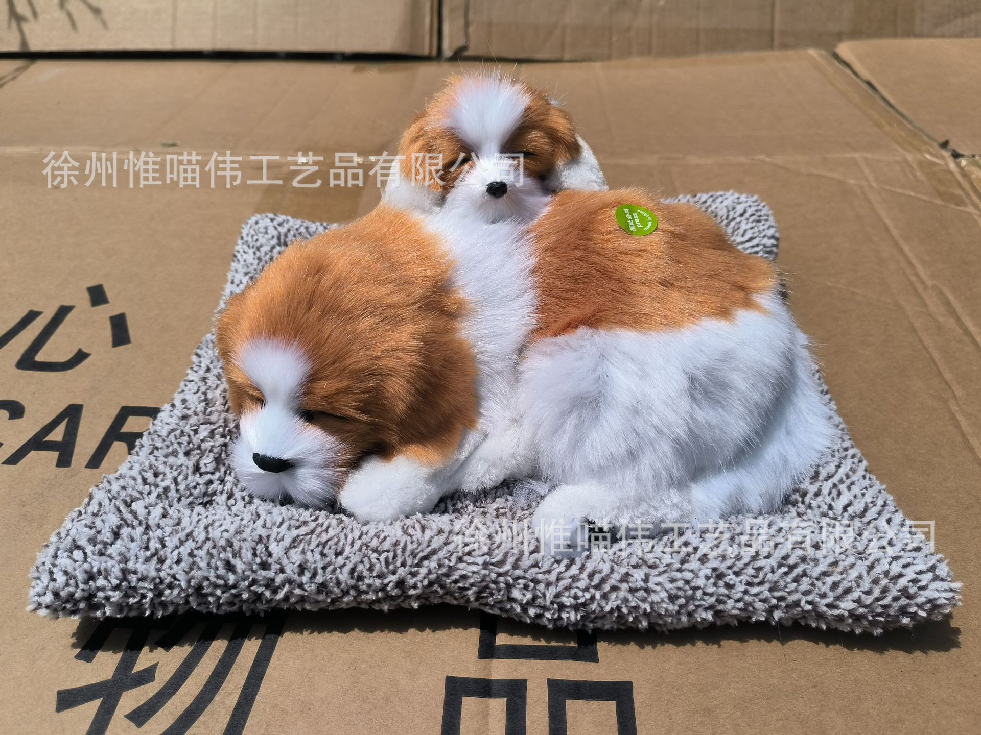 Madre-hijo amarillo blanco después de la caída + cabello gris