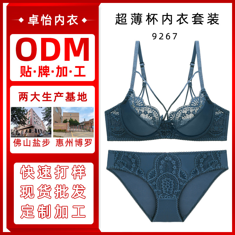 Procesamiento personalizado puro deseo ropa interior traje de mujer sexy belleza espalda encaje de malla de doble tirón traje de sujetador anti-caída