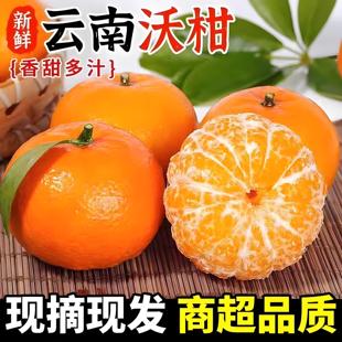 ����̸ָ�ԭˮ��9������������ӻʵ��۸���ɰ�ǽ�ֱ���ؼ�ˮ��