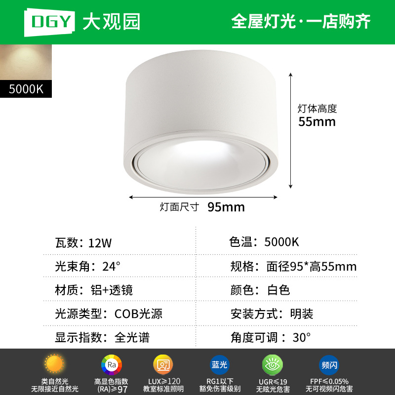 Da Guan Jardín luz de reflector anti-deslumbramiento colina sala de estar sin luz principal luz de techo downlight led corredor luz de techo 495L image 24