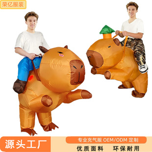 �羳�f�}�������b�����Ɍ��ݳ������ż����Ƥ����ˮ������b