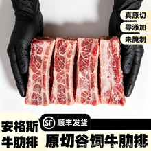 5斤黄膘牛排内蒙古原切牛排骨新鲜带肉牛肋排条生鲜牛仔骨牛肉