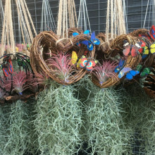 �՚��P����������}�k���Ҵ���ֲ������ȩ��ݗ�仨�ܑ��˟o���Gֲ