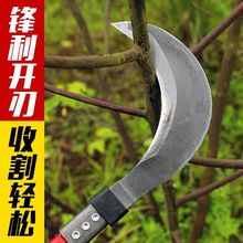 砵h_·ݸ砵ri砵ľƲ