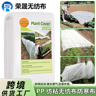 �羳��ɫ�Ӻ�pp��ճ�o����������͸����x�����۱�ϩ�o����������