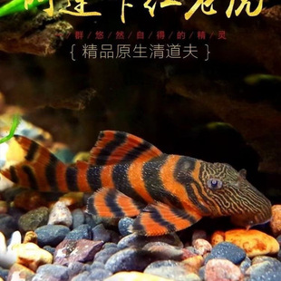 �^�p�~���������~��ɏ������t�ϻ������~��������ח��~