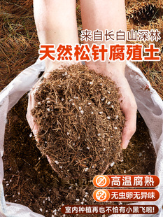 ��ᘸ�ֳ����Ȼ���~���켃�����m��������̿�I�B���B��ͨ�Ì�����