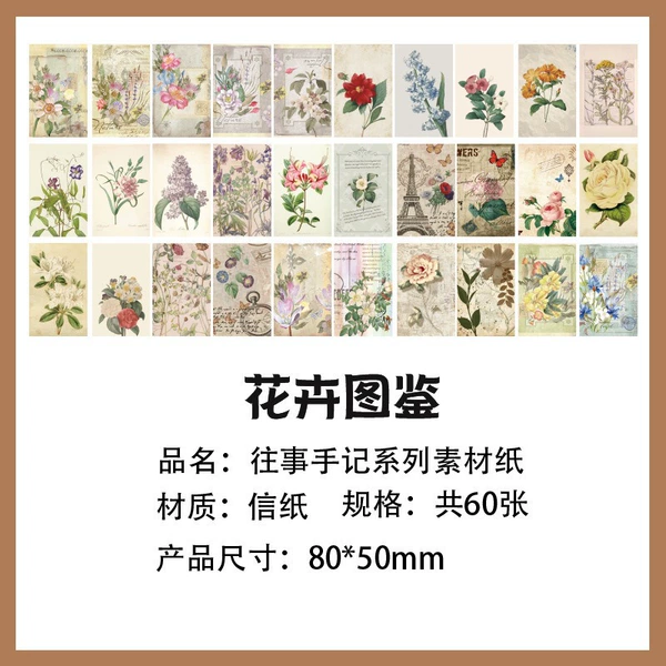 Flower illustration