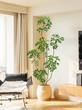 ���_ľ�Gֲ�p���҃ȿ͏d����ֲ���b���ش����Ԕ[���٘�