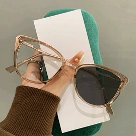 太阳镜;框架眼镜;老花镜