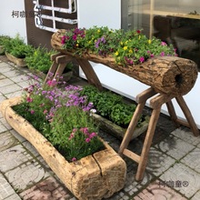 ������ľ�����̨ľ�^�������ľ�^�ۻ��@��������ͥԺľ����̫��