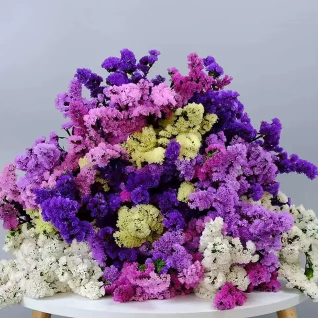 勿忘我风干干花插花花束diy婚庆装饰家居摆件拍摄道具压花花材