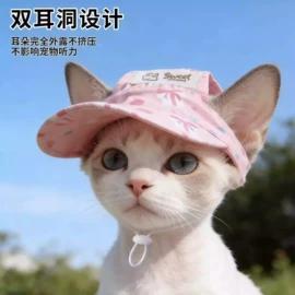 狗狗玩具;猫猫玩具;狗狗服装