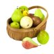 Simulation Pear Simulation Fake Fruit Sydney Fat Pear Fragrant Pear Model Strict Selection Display Cabinet Decoration Sketch Photography Props
