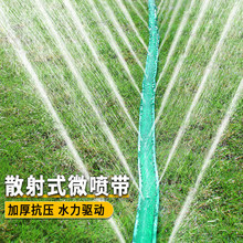 ��ƺ���໨�@�ԄӇ��F΢��ˮ���r�Ý�ˮ�ι�����ϵ�y���ˮ��