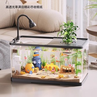 Fish Tank Small Living Room Ecological Landscape Filter Oxygen Making Machine 2025 New Household Desktop Goldfish Tank with Lid