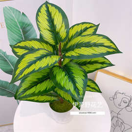 厂家直销仿真15头巴西木植物墙配材配件塑料花景装饰材工程绿景