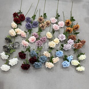 ��c����3�^�ʯõ�� ��Y��·�����Ų廨�Ҿ�ܛ�b�[������õ�廨