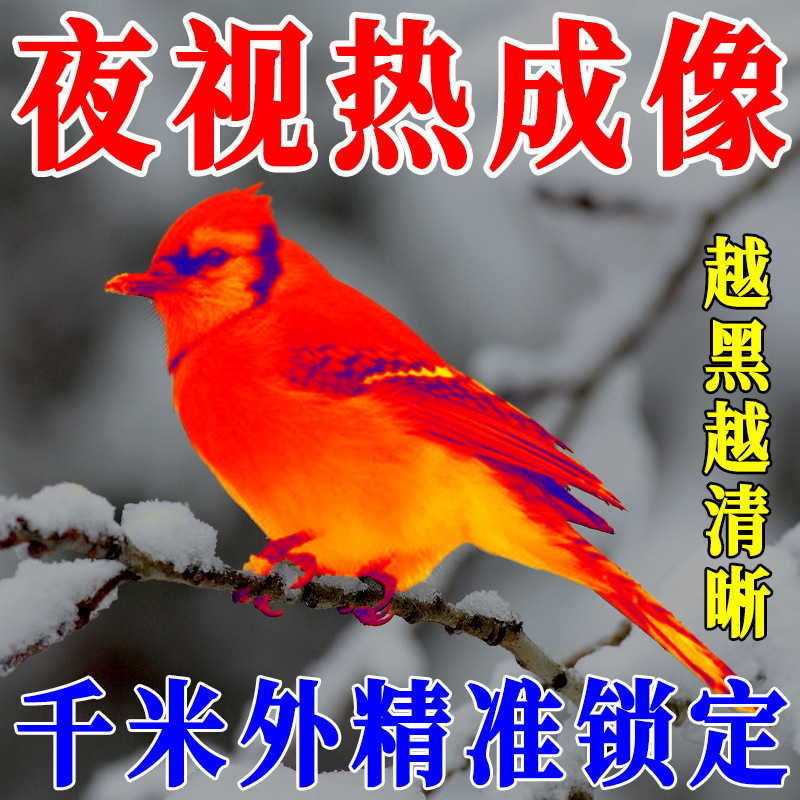 初容热成像夜视仪望远镜天眼热成像手机高清测温仪红外红外夜视仪|undefined