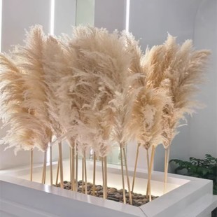 ��Ȼ�JȔ�ɻ��Ҿ��滨�����͏d�[�O��Ȕ�r���b��̨�[��ins����