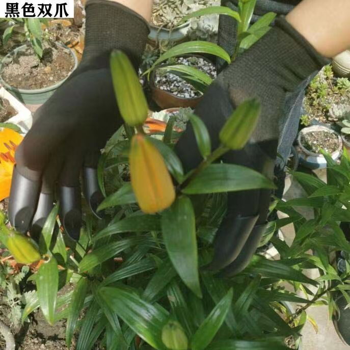 098feb0a208b5cefa6ae9985f48e20