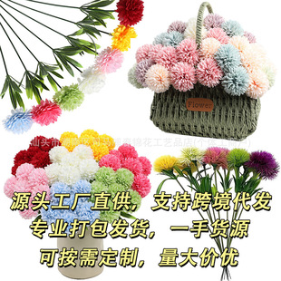 ���R�d���컨 ����ջ��z���� ��ͥ��Y�N���Ҿ��k�����b껨