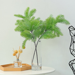 �����}�Q��֦ɼ���ɘ�֦�쾰�҃�ާ���Gֲֲ������٘��b�