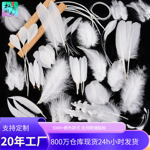 Դ�^���Sֱ�����uë���l��ɫ��ë���b�o�ϲ����W��؈������b�