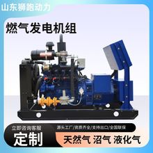 小型燃气发电机组50kw天然气沼气养殖场油田发电机组民用发电机组