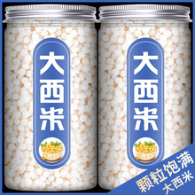 大西米奶茶店专用西米露小西米杨枝甘露水果捞椰汁珍珠西米粽木薯