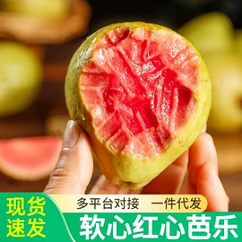 其他蔬菜;其他水果;桃子