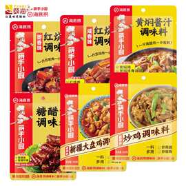 海底捞红烧黄焖汁新疆大盘鸡调料炒鸡辣子鸡糖醋汁川菜家常菜小袋