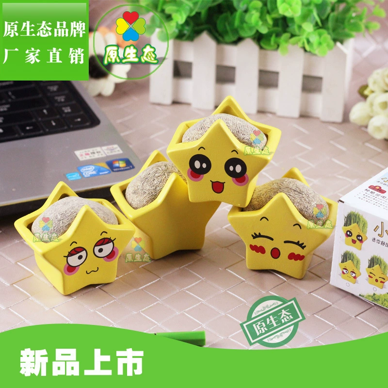 Оригинальный DIY длинная кукла с головой травы Бонсай мини-посадка украшения дома маленькая звезда логотип