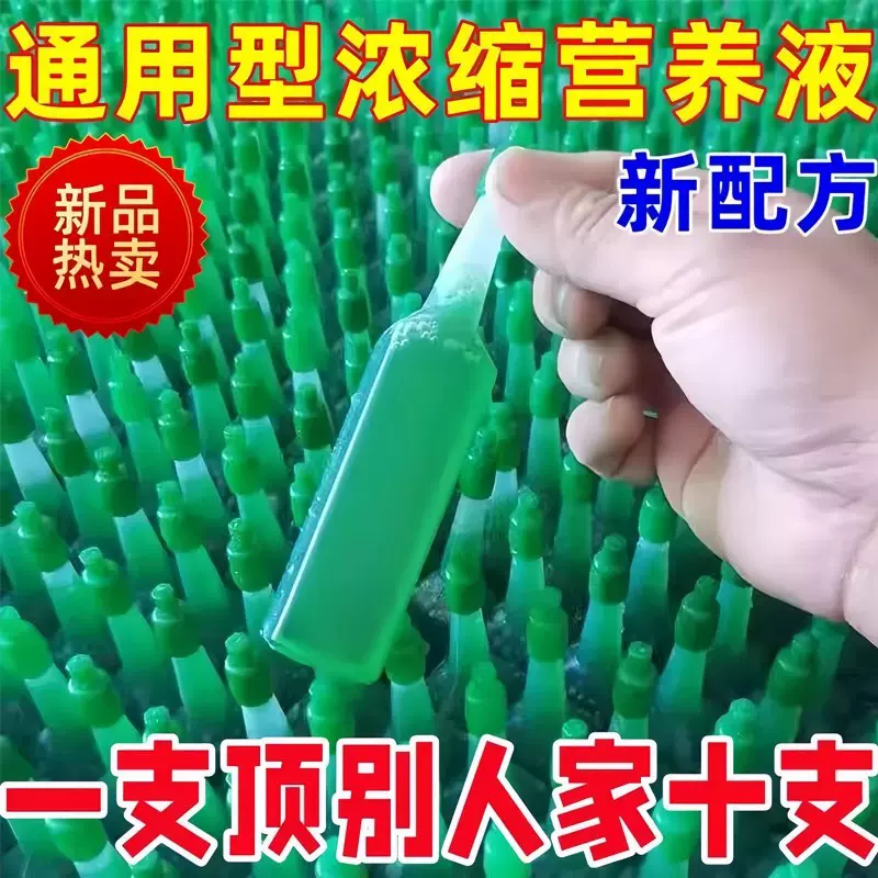 植物营养液通用型家用盆栽发财树富贵竹绿萝水培花卉绿植养花肥料