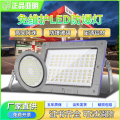 亜明防爆投光器led投光灯ガソリンスタンド倉庫工場化学工場防腐投光器屋外灯