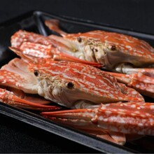 �з���r����{��з�m��зȫҎ���зˮ�a���r�����؛���������