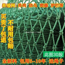隔离网家禽批发顶网尼龙网防鸟养殖网防飞网围栏搭拦鸡养鸡爬藤网