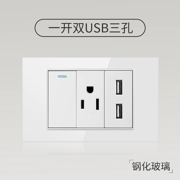 One dual control US standard USB