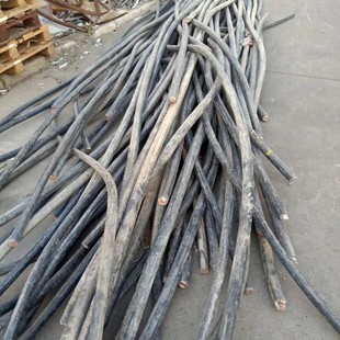 �o�a�U늾����� �K�ݏU��|���� ���ݏU�fͨӍ���|�f�O�����