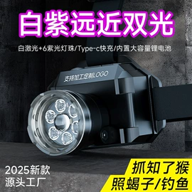 手电筒;头灯头戴电筒;野营/露营灯