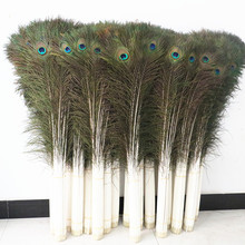 ��Ȼɫ100-110cm��ȸβ��ȸ��ë�Ҿ��b�ȸë